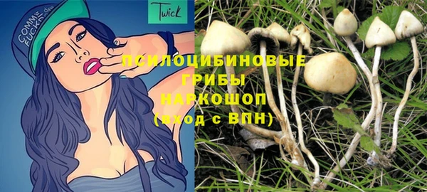 не бодяженный Осташков