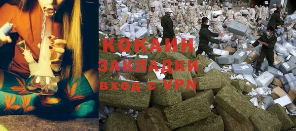 шишки Остров