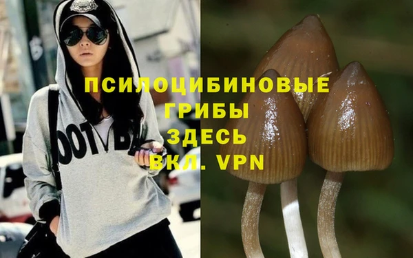 шишки Остров