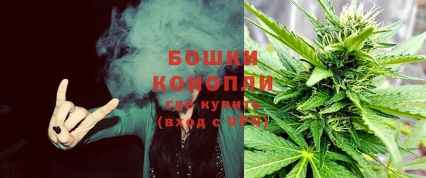 не бодяженный Осташков