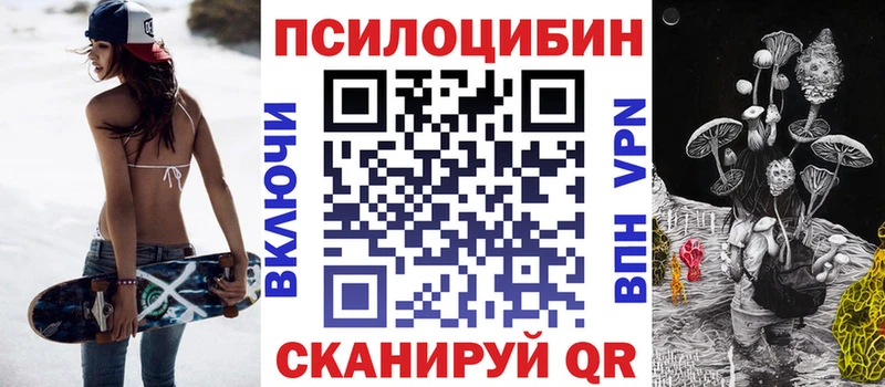 площадка телеграм  Южа  Псилоцибиновые грибы Psilocybe 