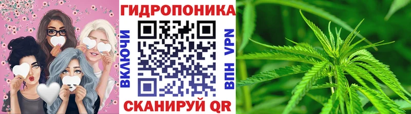 Канабис марихуана  где найти наркотики  Южа 